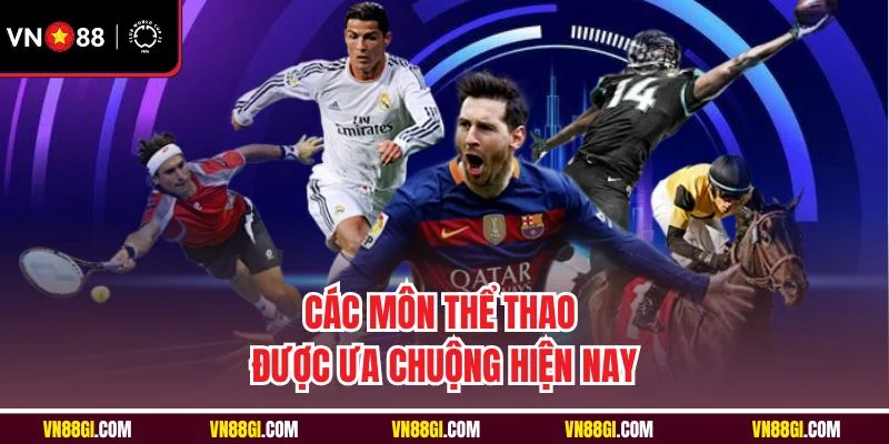 Các môn thể thao được ưa chuộng hiện nay 
